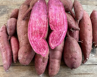 May include: A pile of purple sweet potatoes, some cut in half to reveal their vibrant pink flesh. The potatoes are arranged on a wooden surface.