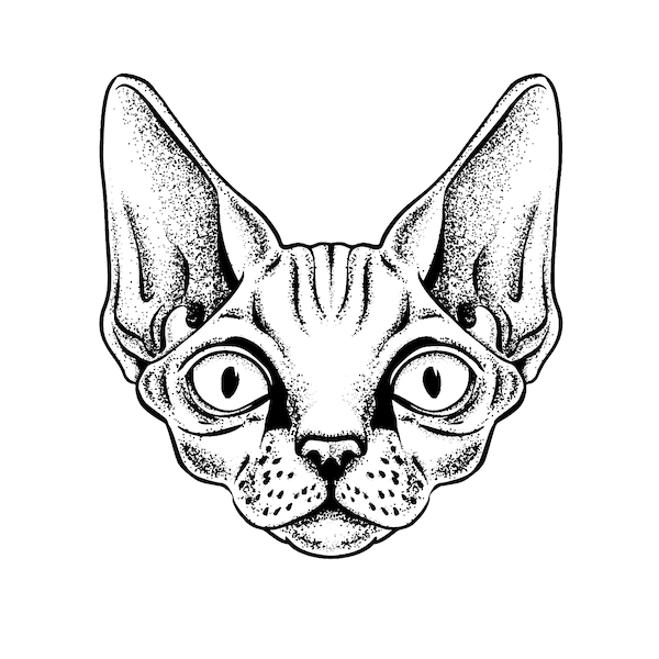 Vector dot illustration of a Devon Rex Cat