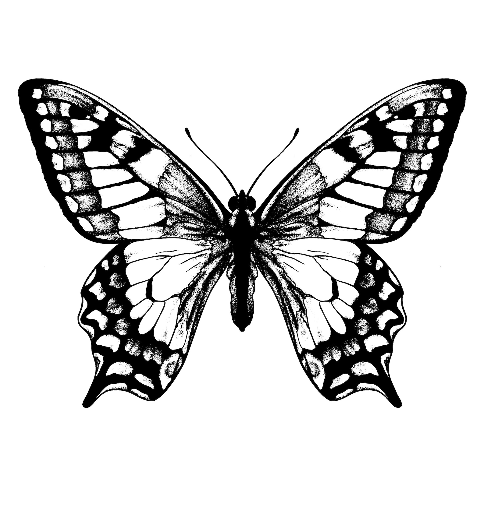 Vector Dot Illustration of a Painted Lady Butterfly - Etsy