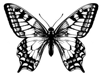 Vector dot illustration of a Painted Lady Butterfly