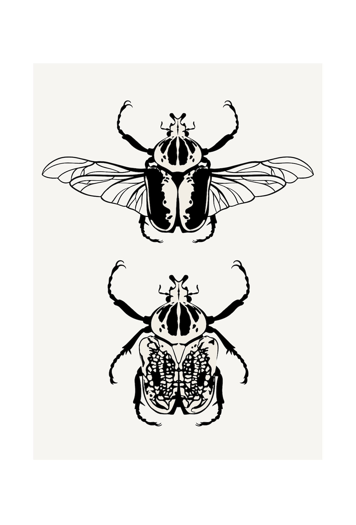 Goliath Beetle Vector Bundle - Etsy