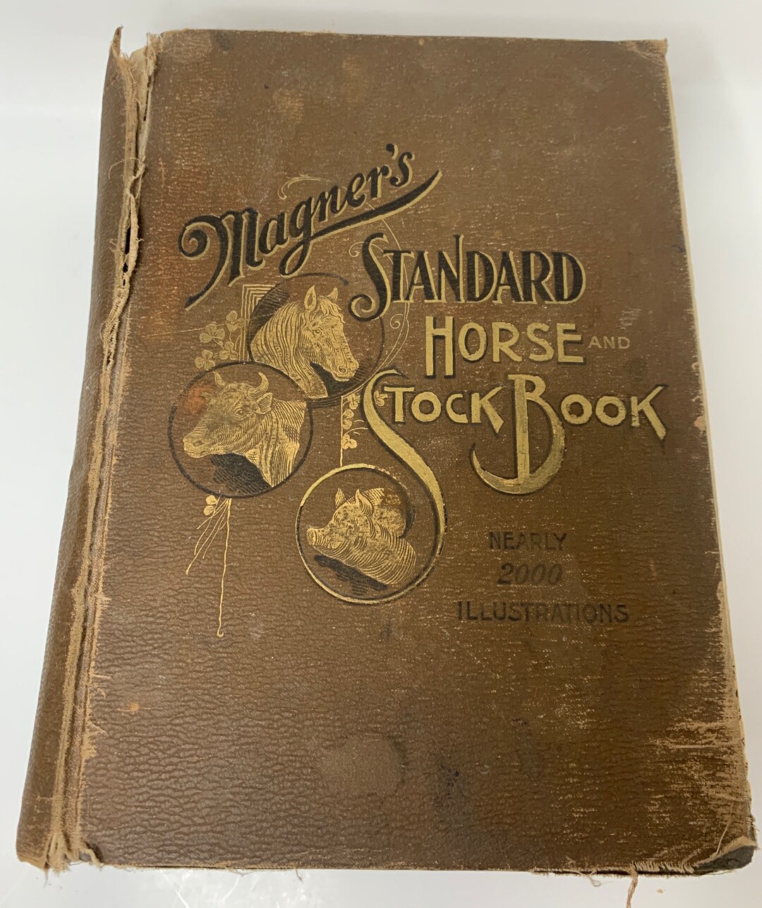 Magners Standard Horse and Stock Book Veterinary Medicine - Etsy