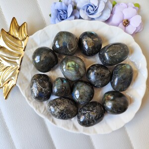 May include: A collection of 11 smooth, dark gray labradorite tumbled stones with iridescent blue and green flashes. The stones are arranged on a white ceramic plate with a gold pineapple design.