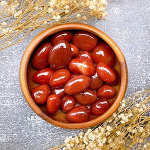 Carnelian Tumbled Stone / Tumbles / Adventure / Carnelian Crystal