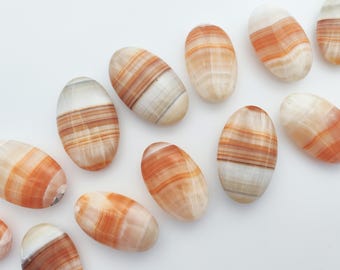 May include: Oval-shaped polished stones with bands of orange, white, and tan hues. The stones are arranged on a white surface. The stones have a smooth, glossy finish and vary slightly in size. These stones could be used for jewelry or decorative purposes.