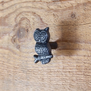 May include: A black cast iron owl door knob with a detailed design. The owl is perched on a branch and has a small knob on the back for turning.