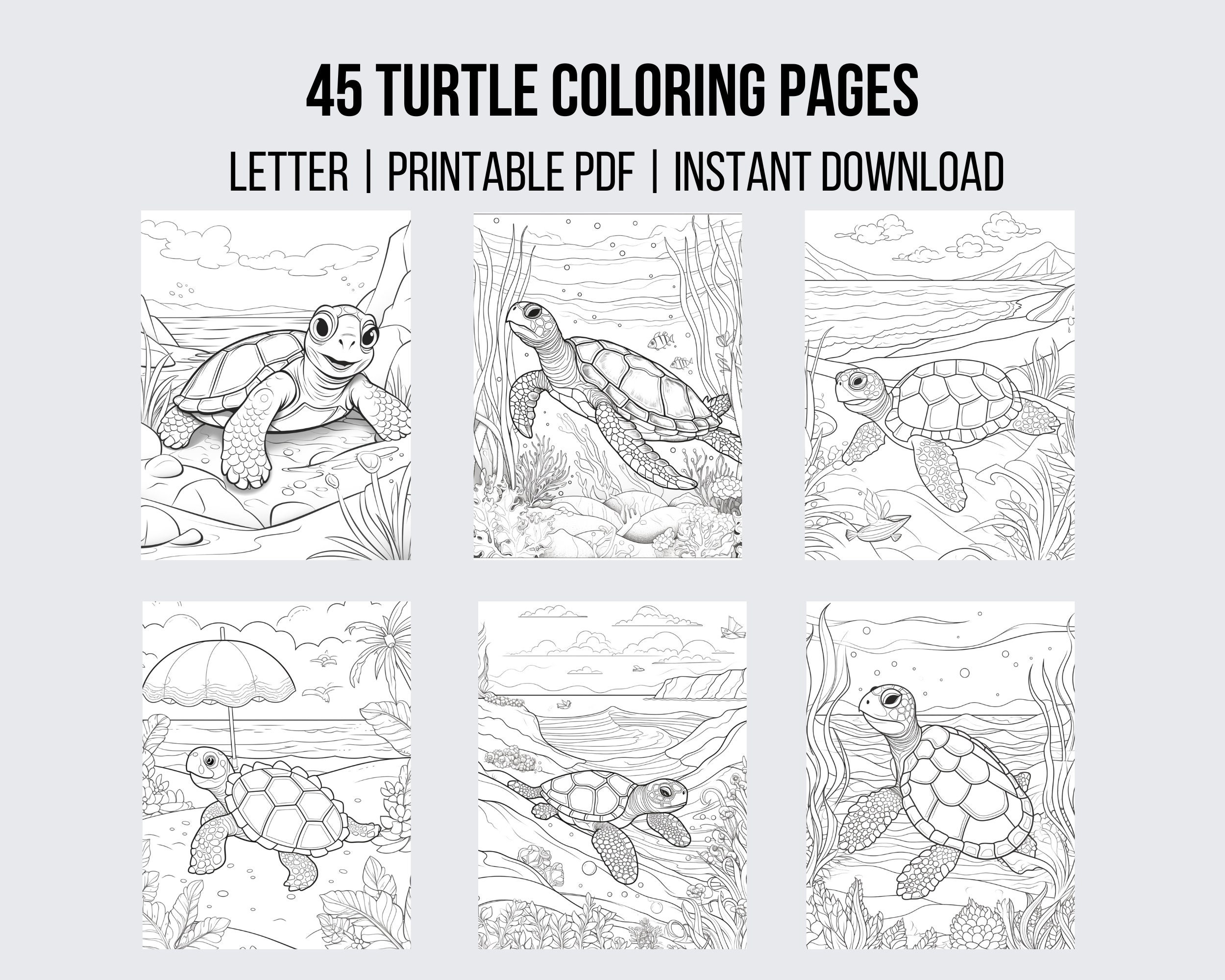 Turtle Coloring Page -  Sweden