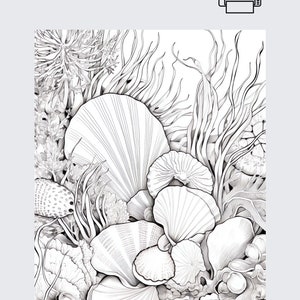 May include: Black and white line drawing of seashells and seaweed. The image is a printable coloring page. "Print as many times as you want" is written at the top of the page. "Made by TheOrganizedMombie on Etsy" is written at the bottom of the page.
