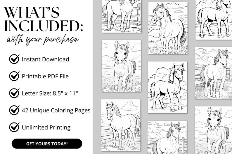 A digital product display featuring 42 printable horse coloring pages. The preview showcases detailed black-and-white illustrations of majestic horses, playful ponies, and cowgirls in various scenic settings. The design highlights the product’s instant download, easy printing, and high-quality line art for all ages. Perfect for horse lovers, kids, and adults seeking a fun and relaxing coloring activity.
