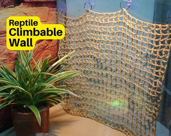 Reptile Climbable Wall | Climbing Wall for Reptiles | Reptile Climbable Background for Bearded Dragons, Leopard Geckos, Anoles