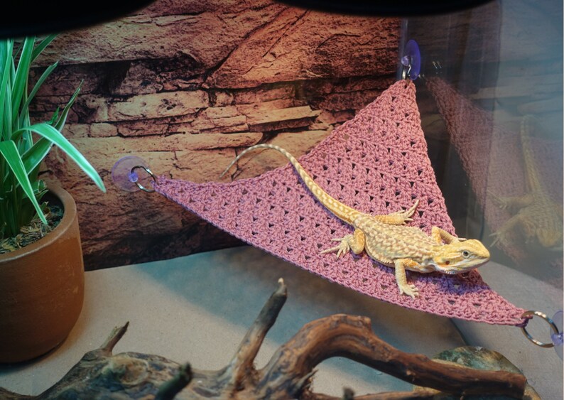 Reptile Hammock for Bearded Dragon & Leopard Geckos Bearded Etsy