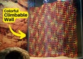 Fire Red Reptile Climbable Wall: Enclosure Decor for Bearded Dragons product logo