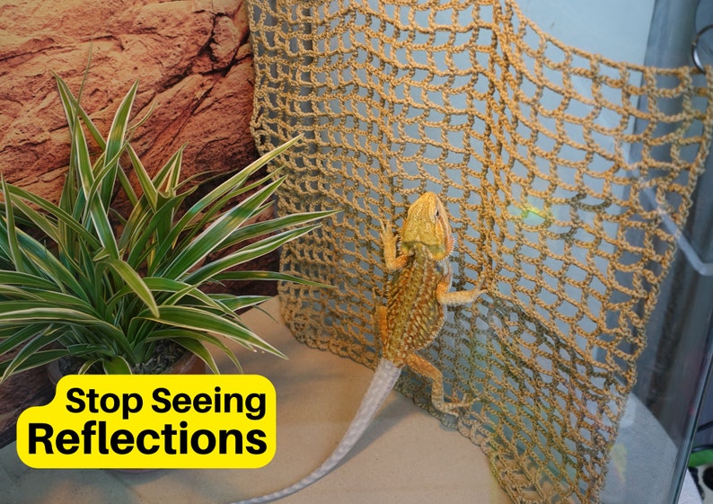 Reptile Climbable Wall Climbing Wall for Reptiles Reptile Etsy