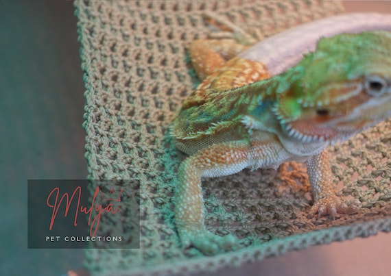 Reptilien-Kletterbrücke & Hängematte Aus Bambus – 30,5 Cm Kletterdekoration Mit Saugnäpfen Für Terrarien