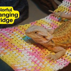 Colorful Reptile Bridge | Customizable Reptile Hammock | Reptile Basking Platform | Bearded Dragon Hammock | Leopard Gecko Hammock