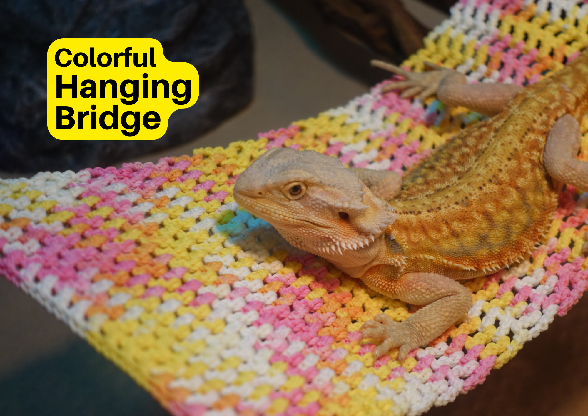 Colorful Reptile Bridge Hammock