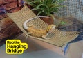 Reptile Hanging Hammock: Basking Bridge for Bearded Dragons product logo