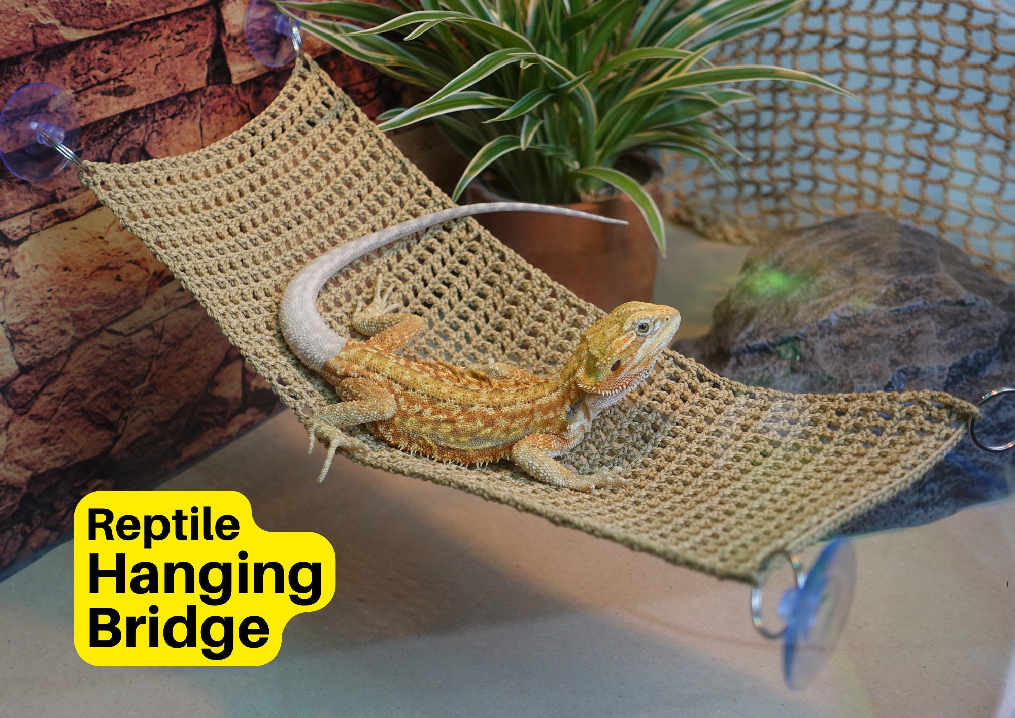 19-tlg. Terrarium-Dekoset Für Bartagamen – Hängematte, Brücke, Pflanzen & Verstecke