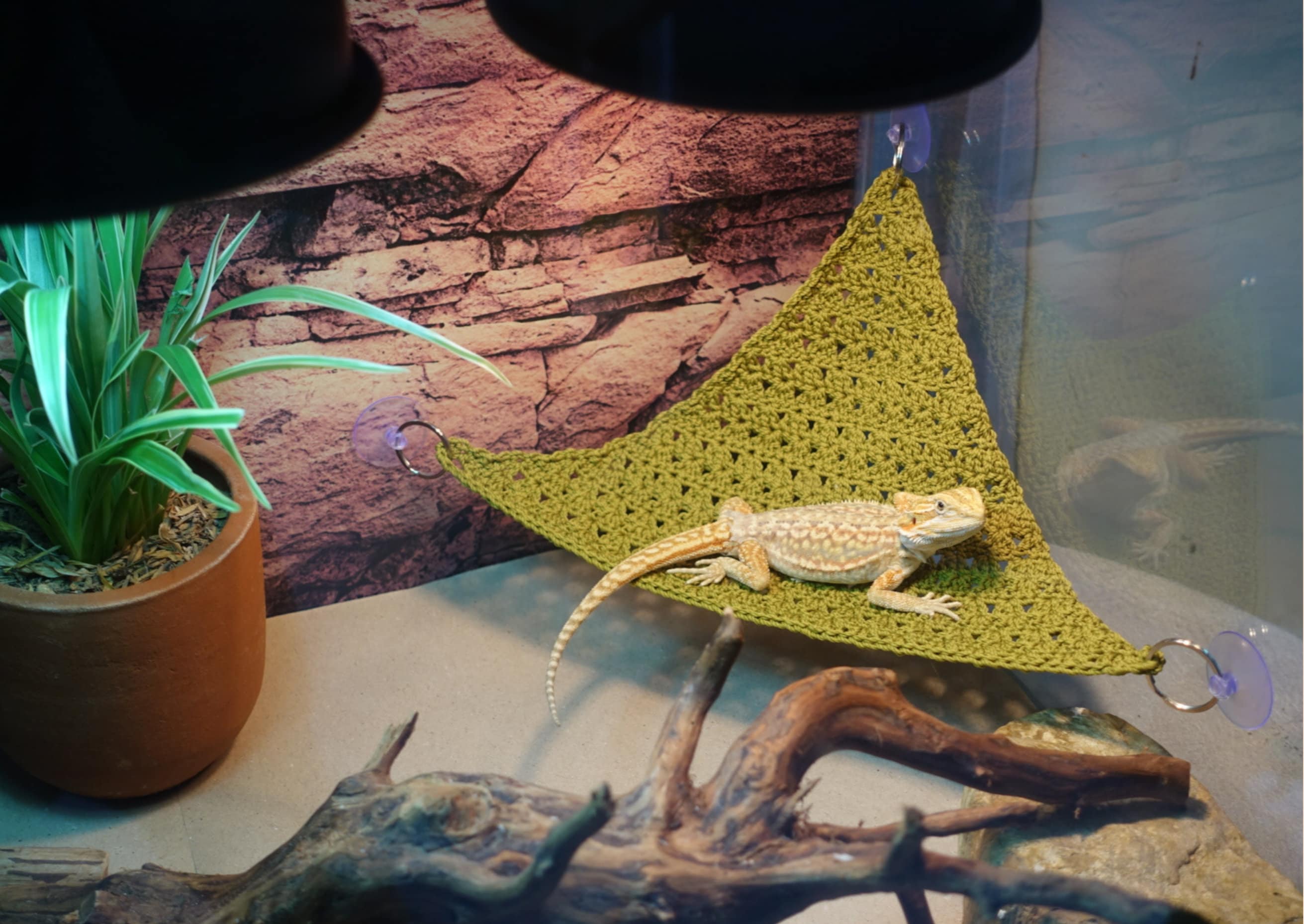 Dnoifne Reptielen Hangmat Swing Opknoping Bed, Leuke Hagedis Swing Speelgoed, Katoen Hagedis Bed, Reptiel Zomer Bed voor Baardraak Luipaard Gecko Hagedis Vogels Papegaaien Ratten (Kleurrijk Dnoifne Reptielen Hangmat Swing Opknoping Bed, Leuke Hagedis Swing Speelgoed, Katoen Hagedis Bed, Reptiel Zomer Bed voor Baardraak Luipaard Gecko Hagedis Vogels Papegaaien Ratten (Kleurrijk