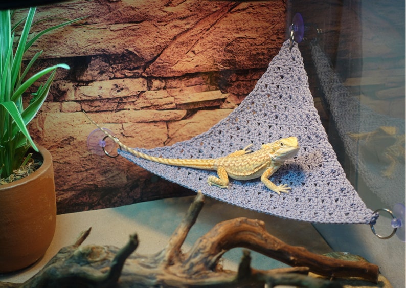 Reptile Hammock for Bearded Dragon & Leopard Geckos Bearded Etsy