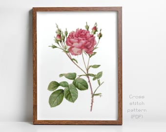Vintage Pink Rose Bloom Cross Stitch Pattern, Cottage, English Garden, Botanical Illustration, Instant PDF Download, Cross Stitch Chart