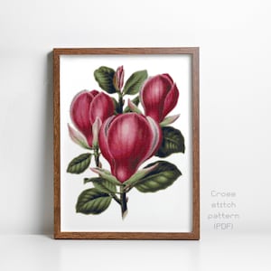 Magnolia Blooms Cross Stitch Pattern, Flower, Cottage, English Garden, Vintage Botanical Illustration, Instant PDF Download,