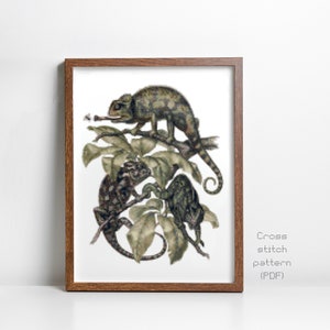 Indian Chameleon Cross Stitch Pattern, Vintage Illustration, Reptile, Instant PDF Download, Cross Stitch Chart
