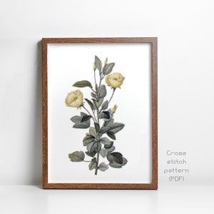 Flymallow Cross Stitch Pattern, Vintage Botanical Illustration, Flower, Cottage, English Garden, Instant PDF Download, Cross Stitch Chart