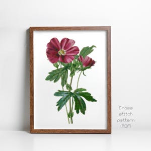 Stockrose Cross Stitch Pattern