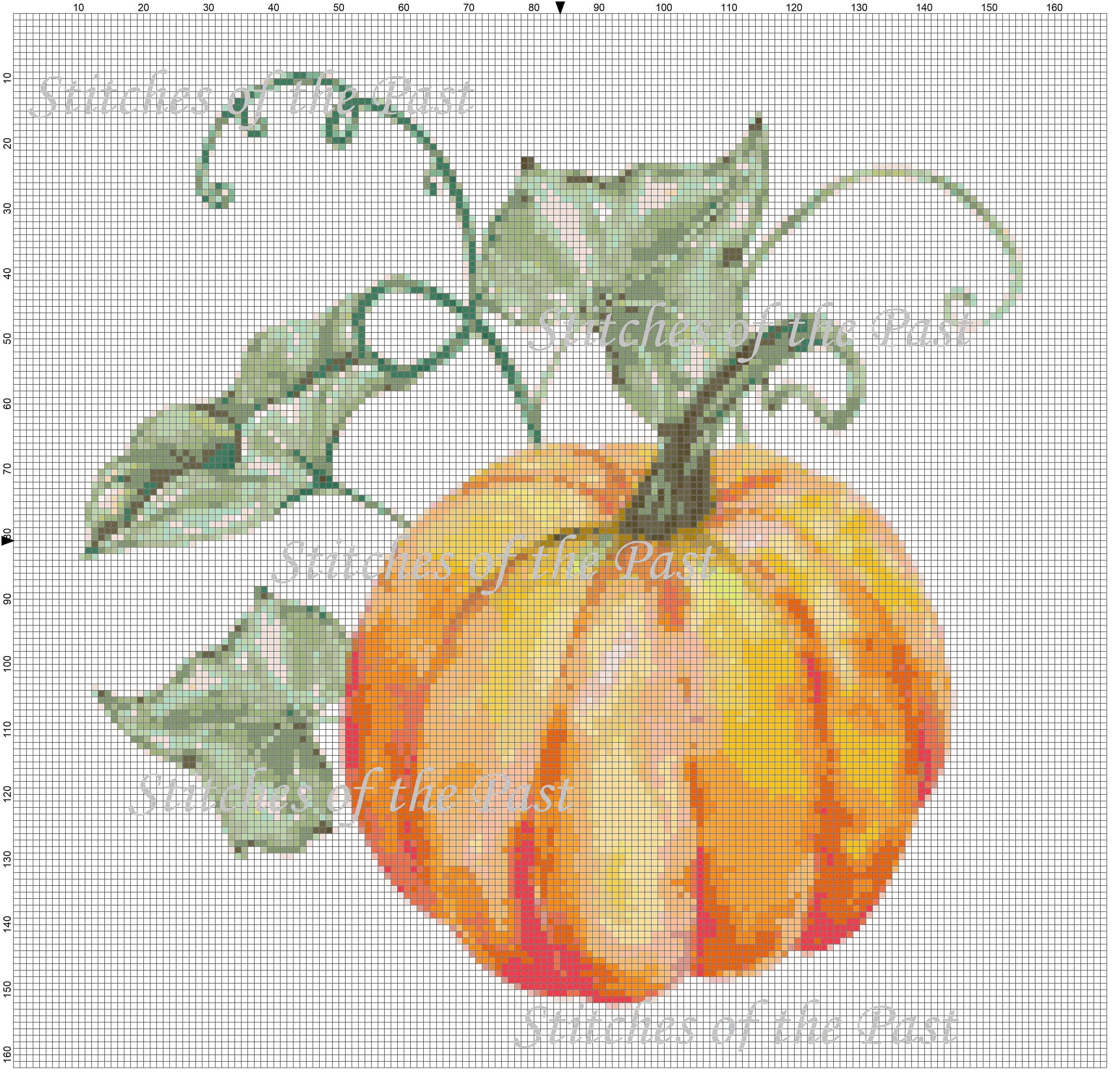 Pumpkin Cross Stitch Pattern - Etsy
