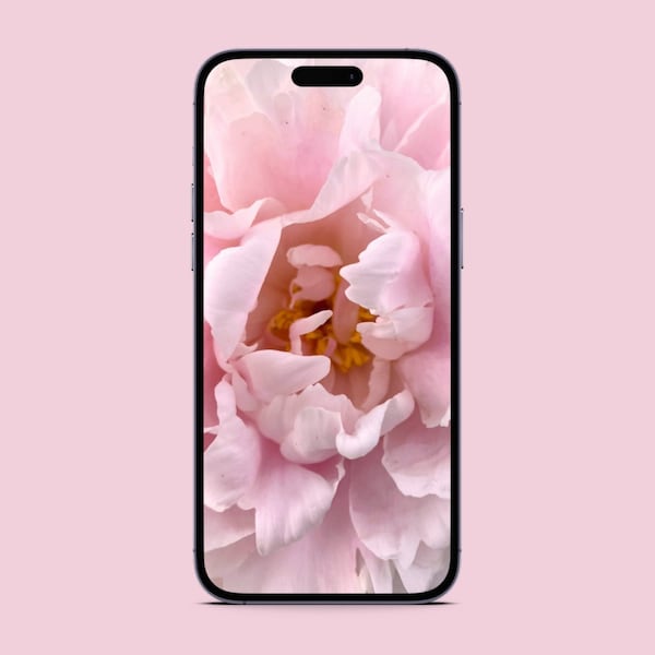 Minimalist iPhone wallpaper | Digital download - Pink Peony wallpaper| phone background | Aesthetic phone background | Mobile lock screen