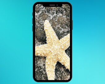 Minimalist Phone Wallpaper Starfish | Digital download | Phone background | Aesthetic phone background | Mobile Lock Screen
