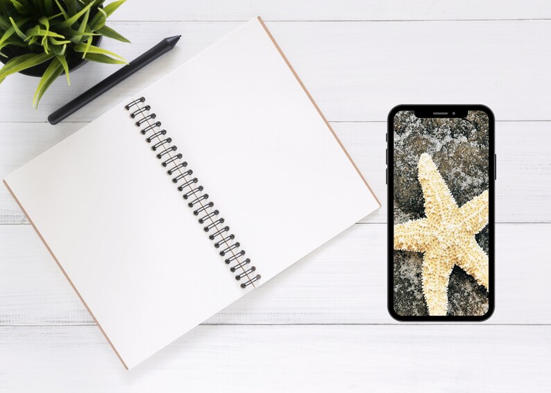 Minimalist iPhone Wallpaper Starfish | Digital Download | Phone