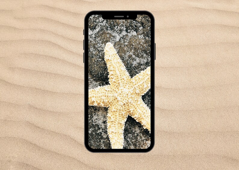 Minimalist iPhone Wallpaper Starfish | Digital Download | Phone