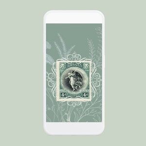 Free download White LV Iphone 5 Wallpaper iPhoneXSMax Aesthetic