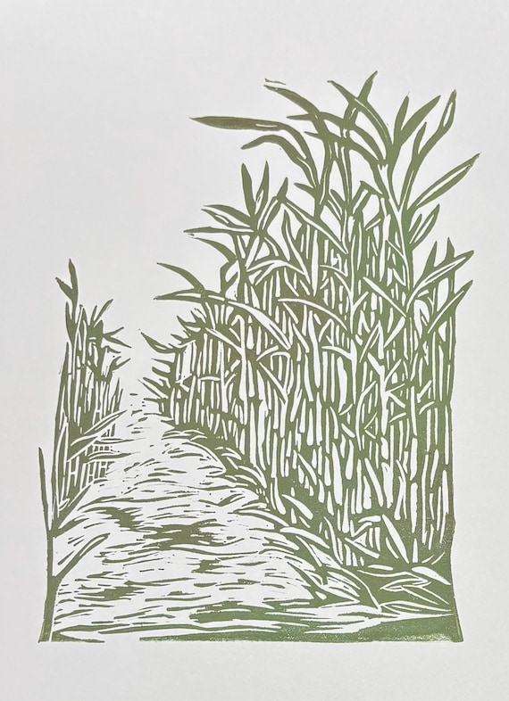 Sugarcane Field Botanical Handprinted Linocut