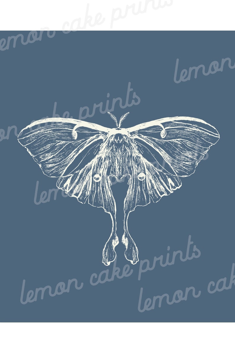 Luna Moth Print Boho Wall Art Luna Moth Decor Luna Moth - Etsy
