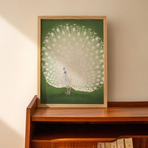Puede incluir: Una impresi&oacute;n enmarcada de un pavo real blanco con sus plumas de la cola extendidas en forma de abanico. El pavo real est&aacute; de pie sobre un fondo verde.