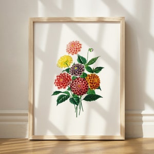 Dahlia Print, Found Art Printable, Botanical Wall Art, Floral Decor, Printable Flower Art, Dahlia Flower Art, July Birth Month Flower