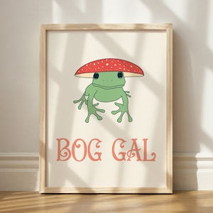 May include: A framed print with a cartoon illustration of a green frog wearing a red and white mushroom hat. The text "BOG GAL" is printed in pink below the frog.