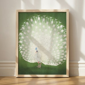 Puede incluir: Una impresi&oacute;n enmarcada de un pavo real blanco con sus plumas de la cola extendidas en forma de abanico. El pavo real est&aacute; de pie sobre un fondo verde.