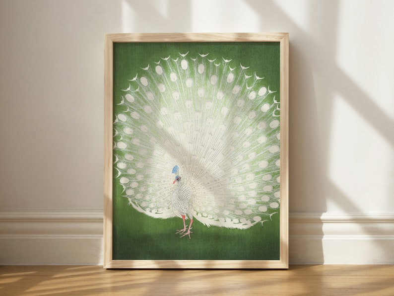 Puede incluir: Una impresi&oacute;n enmarcada de un pavo real blanco con sus plumas de la cola extendidas en forma de abanico. El pavo real est&aacute; de pie sobre un fondo verde.