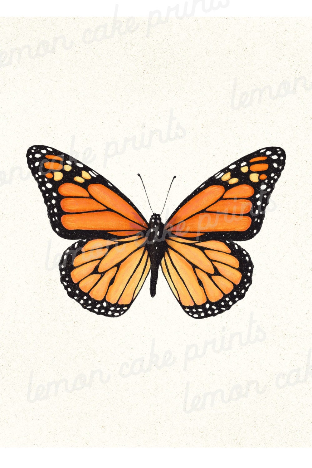 Illustrated Monarch Print, Butterfly Wall Decor, Monarch Aesthetic ...