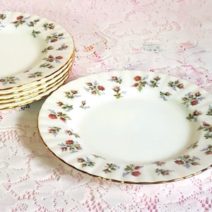 May include: A set of six white ceramic plates with a gold rim and a floral pattern of pink and blue flowers. The plates are stacked on top of each other.