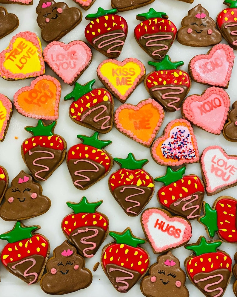 Harlows Heavenly Horse Treats Etsy