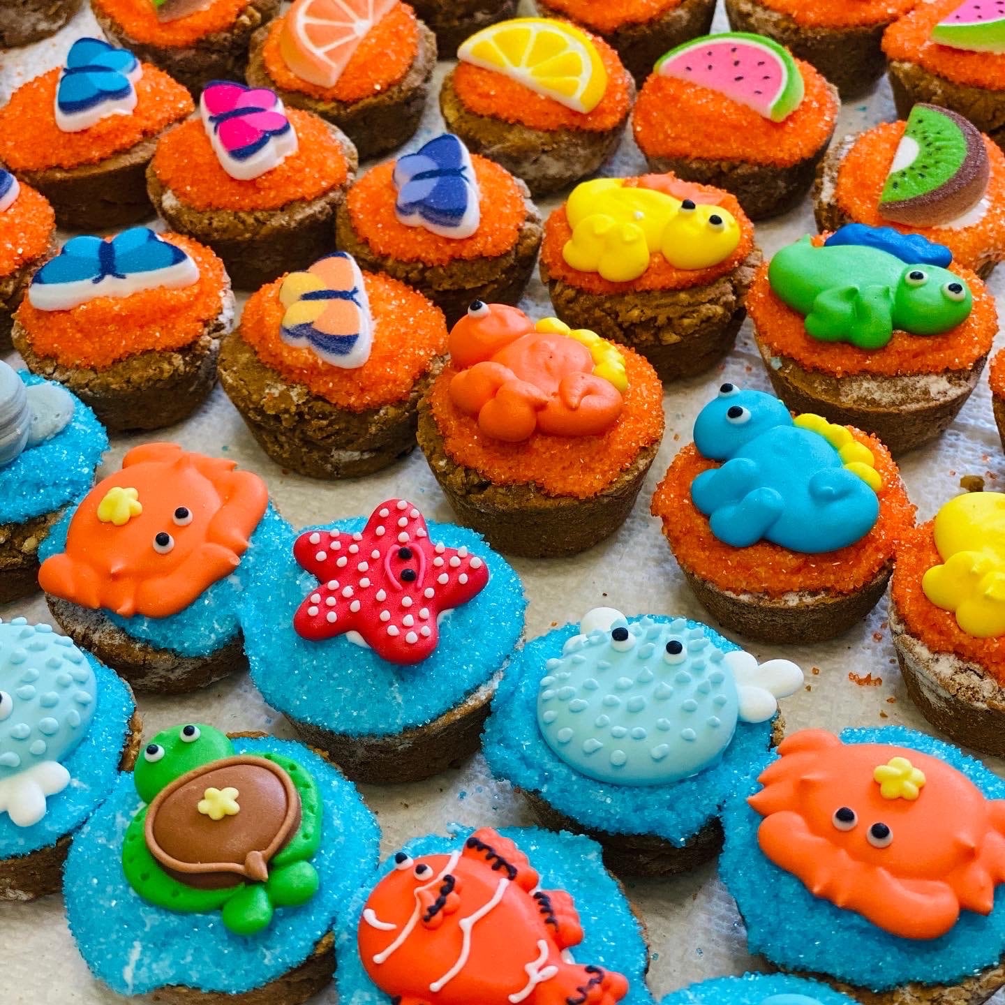 A Dozen Delicious Mini Cupcakes! Assorted Themes With Unlimited ...