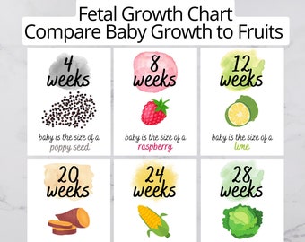 Baby Size Not Fruit Etsy