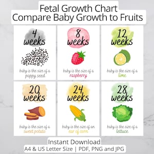 Guía de crecimiento fetal durante el embarazo / Comparación del tamaño del bebé con frutas y verduras / 42 semanas coloridas / Descarga instantánea / A4/Carta (PDF, PNG, JPG)