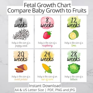 Printed Grow Baby Grow 24 X 36 Poster Week By Week Fruit And Etsy Hong Kong