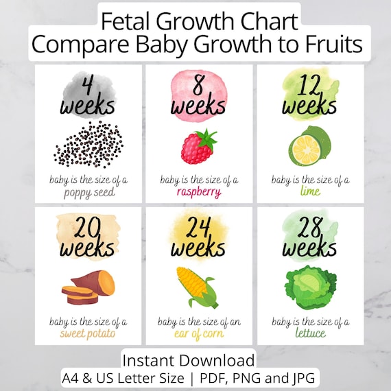 Baby Size Charts And Timelines 45 OFF Www micoope gt